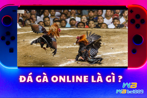 Đá gà online là gì ?