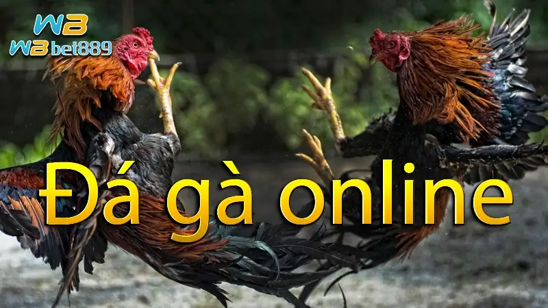 Đá gà online| Giải đáp mẹo chơi đá gà hay nhất, chơi đá gà trực tuyến ở đâu và có hợp pháp không ?